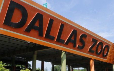 মাত্র এক ডলারে ডালাস চিড়িয়াখানা ভ্রমণ