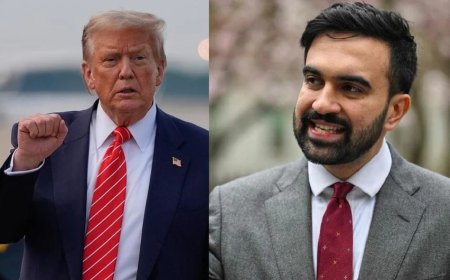 মামদানিকে দেখতে খারাপ, কমিউনিস্টি ও উন্মাদ বললেন ডোনাল্ড ট্রাম্প