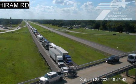 আই-২০ মহাসড়কে মর্মান্তিক দুর্ঘটনা: টেরেলের কাছে ৪ জন নিহত, বহু আহত