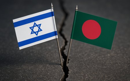 ইসরায়েলের বিরুদ্ধে পদক্ষেপ নেওয়ার জরুরি সম্মেলনে বাংলাদেশ