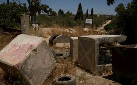 ইসরাইলে আমেরিকান নাগরিককে পিটিয়ে হত্যা