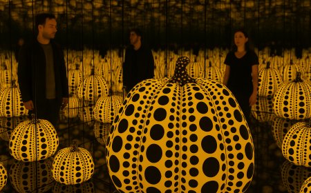 ডালাস মিউজিয়ামে ‘কুমড়াভিত্তিক’ শিল্পপ্রদর্শনী