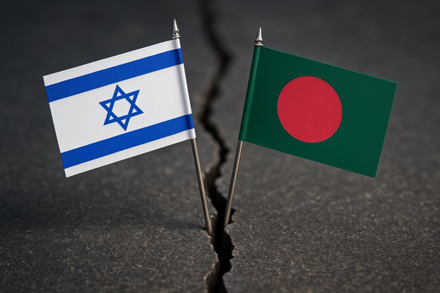 ইসরায়েলের বিরুদ্ধে পদক্ষেপ নেওয়ার জরুরি সম্মেলনে বাংলাদেশ
