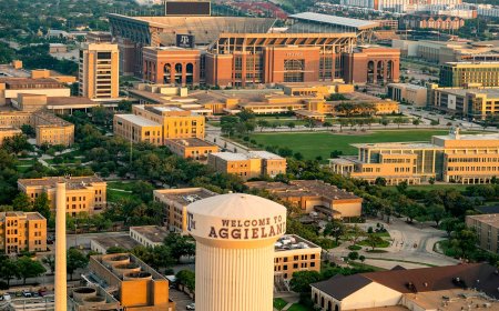 ‘দুইয়ের বেশি লিঙ্গ’ শেখানো নিয়ে টেক্সাস এঅ্যান্ডএমে অস্থিরতা, ডিন-চেয়ার পদচ্যুত