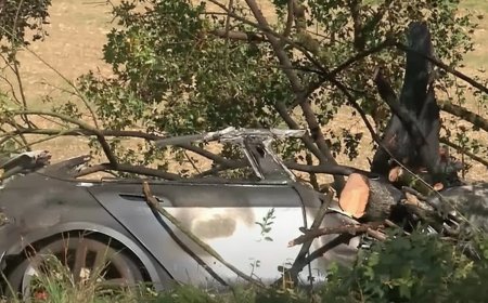 ত্রুটির কারণে টেসলার দরজা খোলেনি,  গাড়িতে আটকে পুড়ে মারা গেল দুই শিশুসহ ৩জন