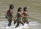 বিলুপ্তির মুখে অ্যামাজনের মাসকো পিরোর ‘ভাইয়েরা’