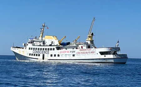 গাজা অভিমুখে আরও ১১ জাহাজ