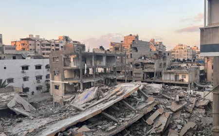 হামাস না চাইলেও শান্তি পরিকল্পনা কার্যকর করতে পারেন ট্রাম্প