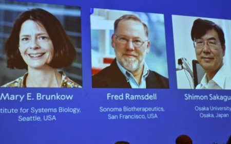 ‘পেরিফেরাল ইমিউন টলারেন্স’ আবিষ্কারে চিকিৎসায় নোবেল পেলেন ৩ বিজ্ঞানী