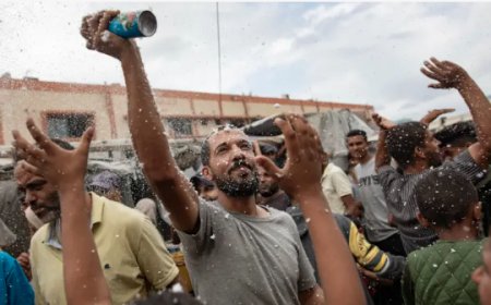 গাজায় যুদ্ধবিরতির আশায় ফিলিস্থিনিদের উচ্ছ্বাস