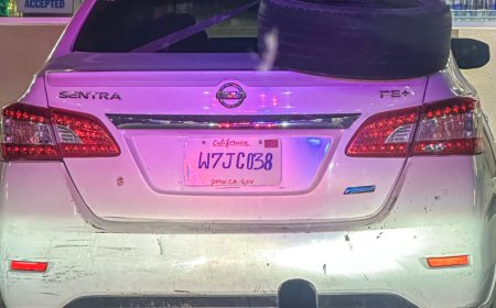 ক্যালিফোর্নিয়ায় হাতে আঁকা নম্বর প্লেট, আটক চালক