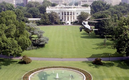 ডিডিকে ট্রাম্পের ক্ষমা করার খবরকে ‘মিথ্যা’ বলছে হোয়াইট হাউস