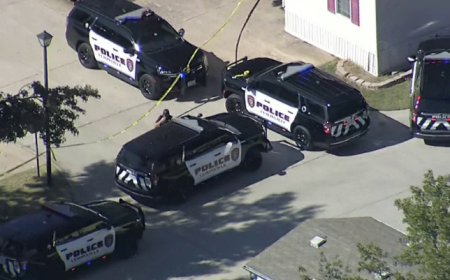 টেক্সাসের লুইসভিলে মাকে খুন করে ছেলের আত্মহত্যা