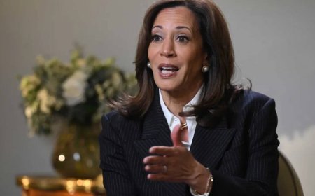 ‘আমি এখনো শেষ করিনি’- প্রেসিডেন্ট পদে ফের লড়াইয়ের ইঙ্গিত কমলা হ্যারিসের