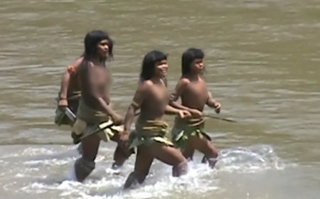 বিলুপ্তির মুখে অ্যামাজনের মাসকো পিরোর ‘ভাইয়েরা’