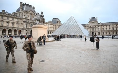 ল্যুভরে রত্ন চুরির ঘটনায় দুই সন্দেহভাজন আটক