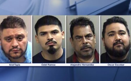 টেক্সাসের আরলিংটনের স্ট্রিপ ক্লাবে পুলিশি অভিযান, চারজনকে আটক