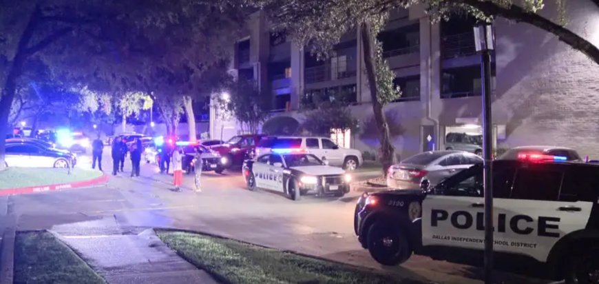 চার দিনে ডালাস-ফোর্ট ওয়ার্থে আলাদা আলাদা সহিংস ঘটনায় ১০ জন নিহত