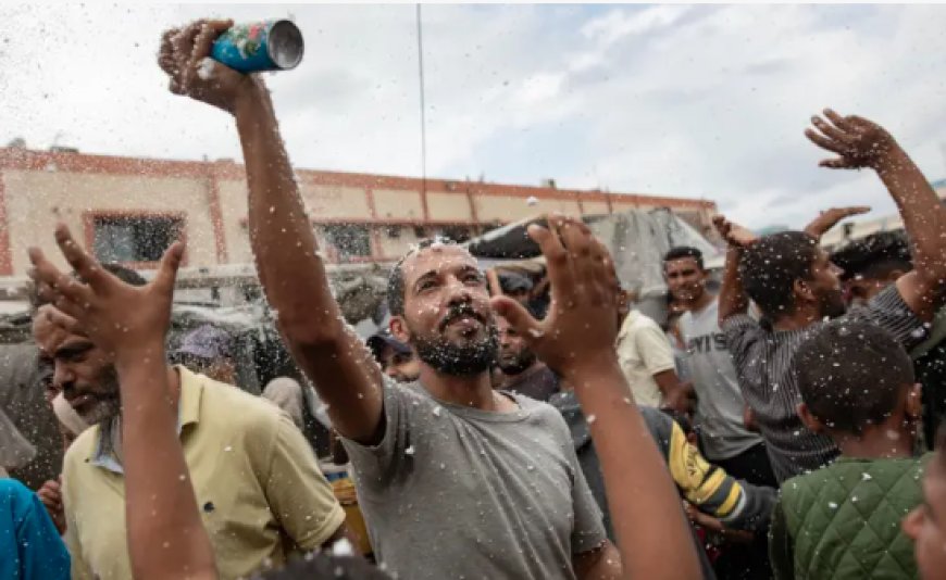 গাজায় যুদ্ধবিরতির আশায় ফিলিস্থিনিদের উচ্ছ্বাস