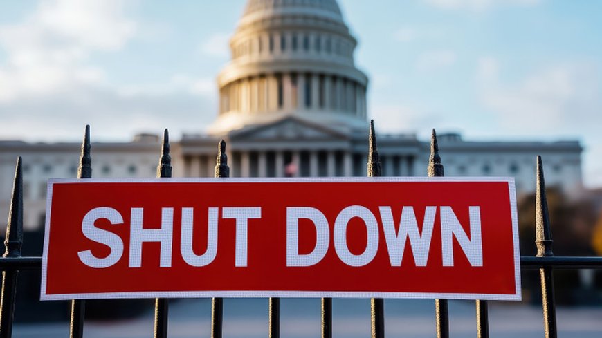 ট্রাম্প প্রশাসনের সরকারি কর্মী ছাঁটাই শুরু