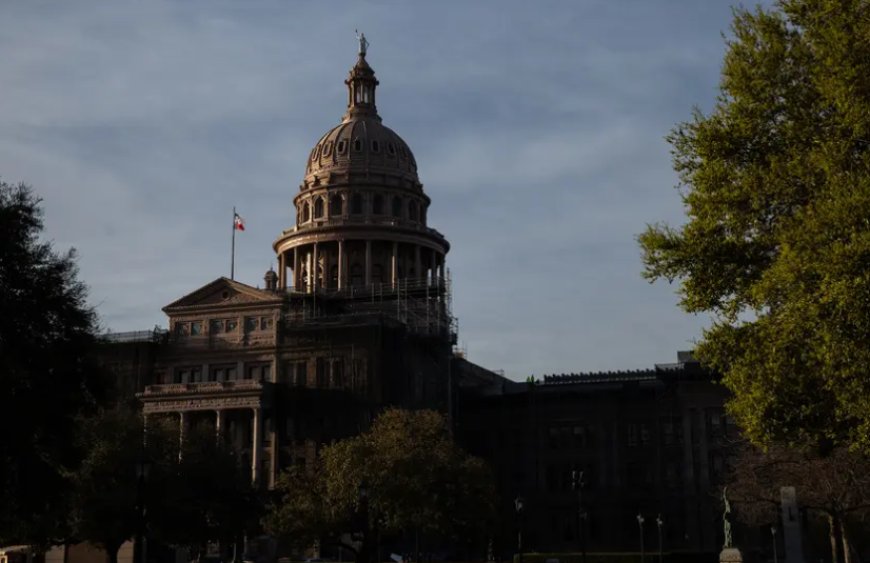 টেক্সাসে সংবিধান সংশোধনের ১৭ প্রস্তাবের বিষয়ে সিদ্ধান্ত নেবেন ভোটাররা