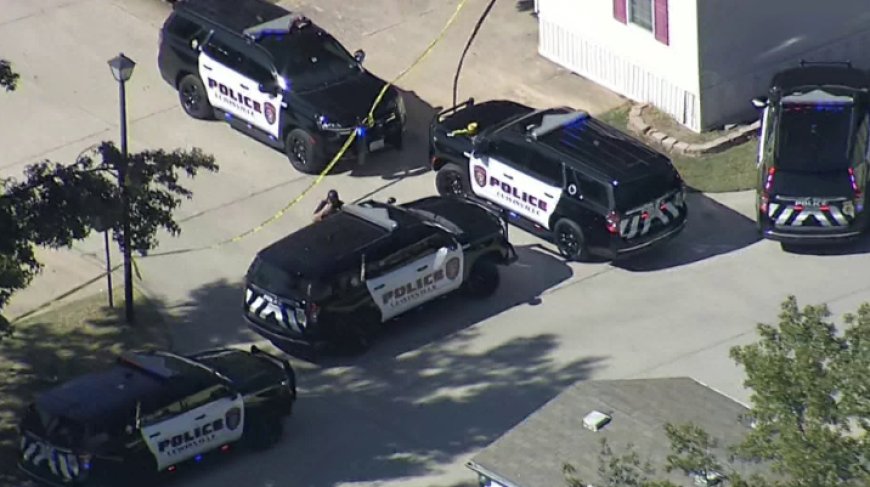 টেক্সাসের লুইসভিলে মাকে খুন করে ছেলের আত্মহত্যা