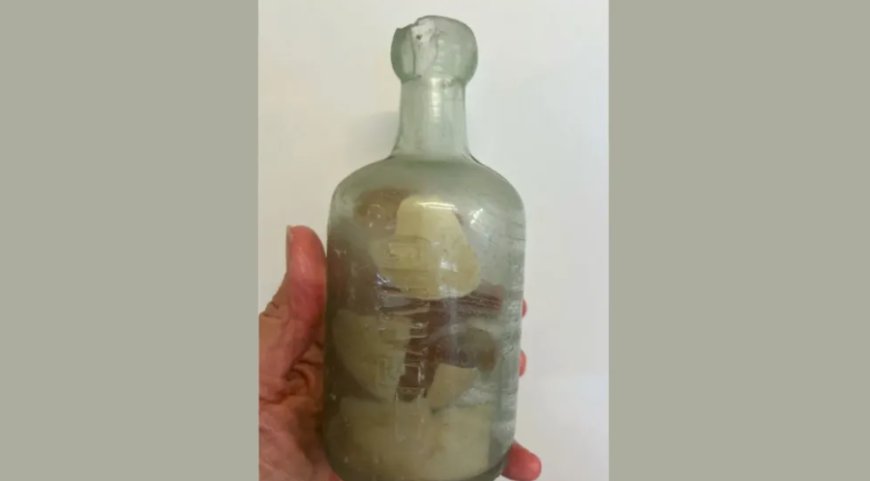 এক শ বছরেরও বেশি সময় পর মিলল দুই সৈনিকের বোতলবন্দি চিঠি