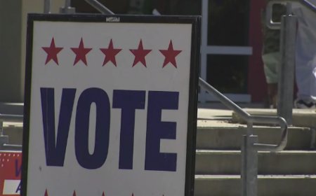 টেক্সাসে মঙ্গলবার ভোট, যা জানা জরুরি