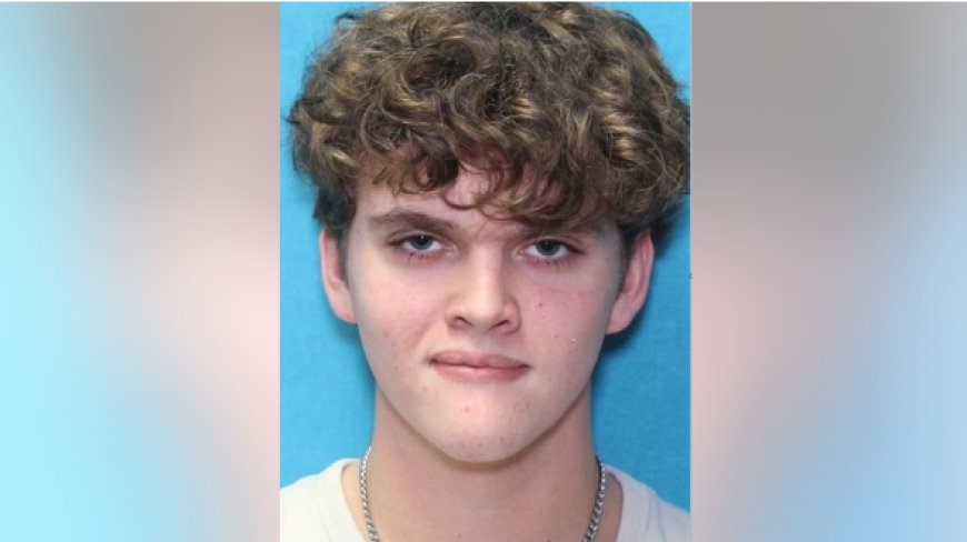 টেক্সাসে ৬ জনের মৃত্যুর দায়ে ১৯ বছর বছরের চালকের ৬৫ বছর কারাদণ্ড