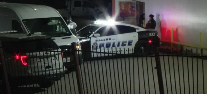 ডালাসে পৃথক তিন ঘটনায় তিনজনকে খুন