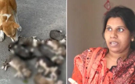 পানিতে ডুবিয়ে আট কুকুরছানা হত্যায় সরকারি কর্মকর্তার স্ত্রী গ্রেপ্তার