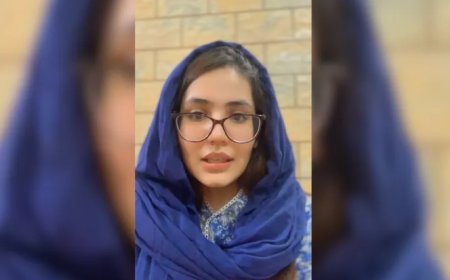 পাকিস্তানি স্ত্রীকে করাচিতে রেখে ভারতে স্বামীর দ্বিতীয় বিয়ের প্রস্তুতি, মোদির কাছে নালিশ নিকিতার