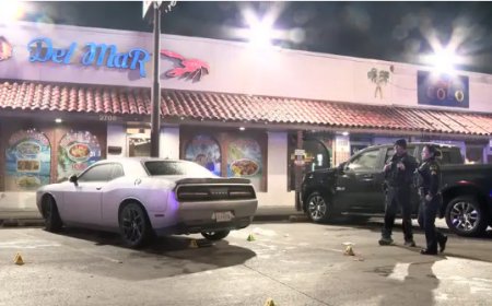 ডালাসে রেস্তোরাঁর বাইরে গুলি, নিহত এক তরুণ