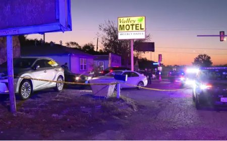 চুরি হওয়া গাড়ি খুঁজতে গিয়ে সহিংসতার শিকার নারী, হাসপাতালে মৃত্যু