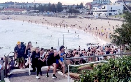 অস্ট্রেলিয়ার বন্ডি সৈকতে গুলিবর্ষণ, অন্তত ১৫ নিহত