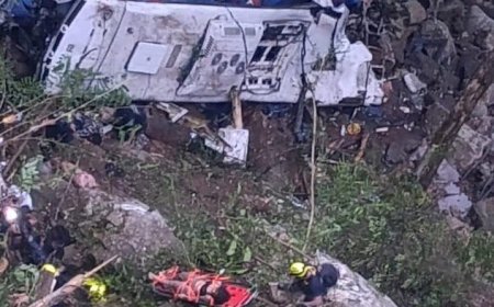 কলম্বিয়ায় গভীর খাদে বাস, ১৬ শিক্ষার্থী নিহত