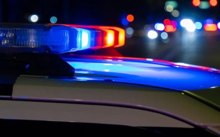 বাড়ির পার্টিতে গুলি করে খুন, ৪৮ ঘণ্টা পর ডালাসে কিশোর আটক