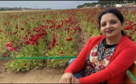 ৩০ বছর ধরে যুক্তরাষ্ট্রে, গ্রিন কার্ড সাক্ষাৎকারে গিয়ে আটক ভারতীয় নারী