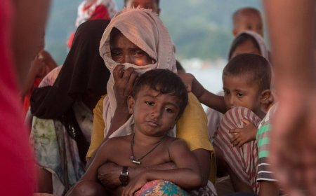 জানুয়ারিতে আইসিজেতে মিয়ানমারের বিরুদ্ধে রোহিঙ্গা গণহত্যা মামলার শুনানি