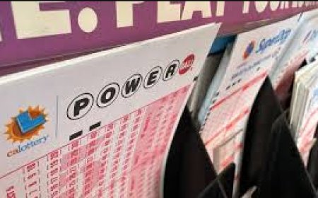 পাওয়ারবলের জ্যাকপট বেড়ে ১.৬ বিলিয়ন ডলার, টানা ৪৫ ড্রতেও নেই বিজয়ী