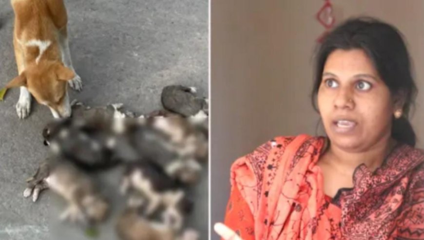 পানিতে ডুবিয়ে আট কুকুরছানা হত্যায় সরকারি কর্মকর্তার স্ত্রী গ্রেপ্তার