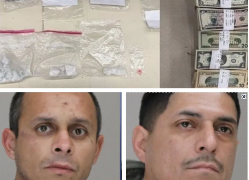 দ্রুতগতির গাড়ি থামিয়ে ডালাসে কোকেন–মেথ জব্দ, দুজন আটক