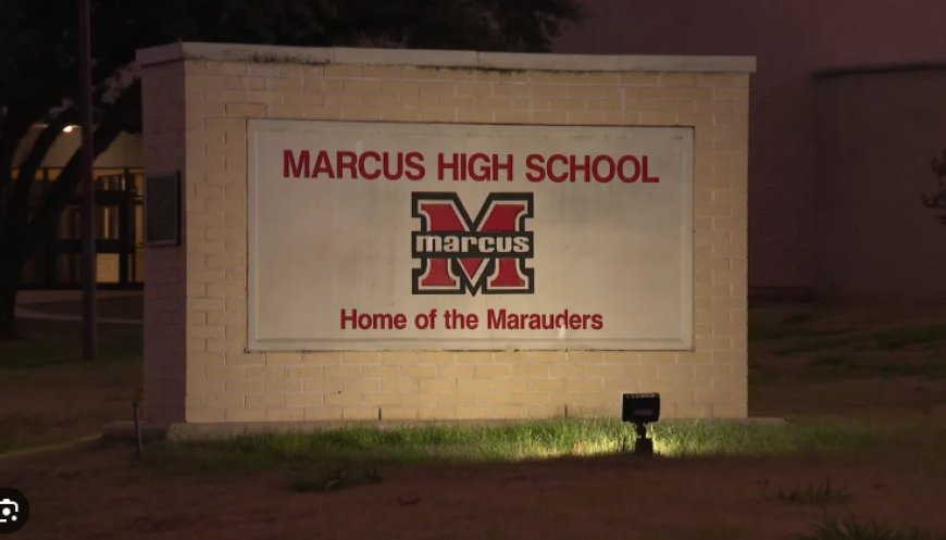 নর্থ টেক্সাসে ছাত্রকে পেলেট গান দিয়ে গুলি-বর্ণবাদী গালি, অভিযোগের তদন্ত