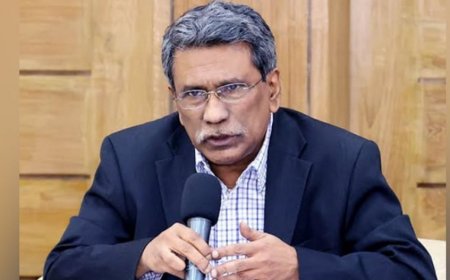 দেশ যেন ফ্যাসিবাদী ব্যবস্থায় আর না ফেরে, সে জন্যই গণভোট: আলী রীয়াজ