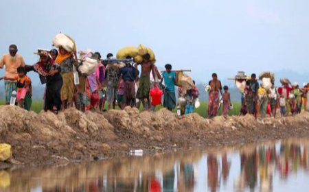 রোহিঙ্গারা ছিল ‘পরিকল্পিতভাবে নির্মূলের লক্ষ্যবস্তু’: আইসিজেতে গাম্বিয়ার অভিযোগ