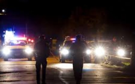 ডালাসে ১২ শতাংশ খুন কমেছে, দাবি পুলিশের