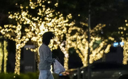 ডালাসে রৌদ্রোজ্জ্বল শীতল আবহাওয়া, নেই বৃষ্টির সম্ভাবনা