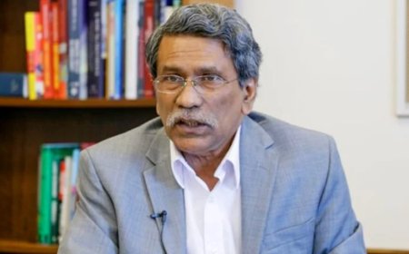 দেশ কীভাবে চলবে, তা ঠিক করতেই গণভোট: আলী রীয়াজ