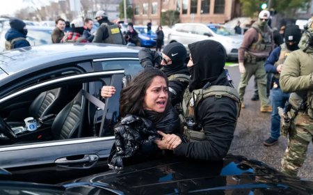 যুক্তরাষ্ট্রে বাংলাদেশি বংশোদ্ভূত নারীকে টেনেহিঁচড়ে গাড়ি থেকে তুলে নিয়ে গেল অভিবাসন পুলিশ