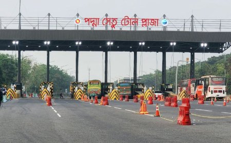 পদ্মা সেতুতে টোল আদায় ছাড়াল ৩ হাজার কোটি টাকা